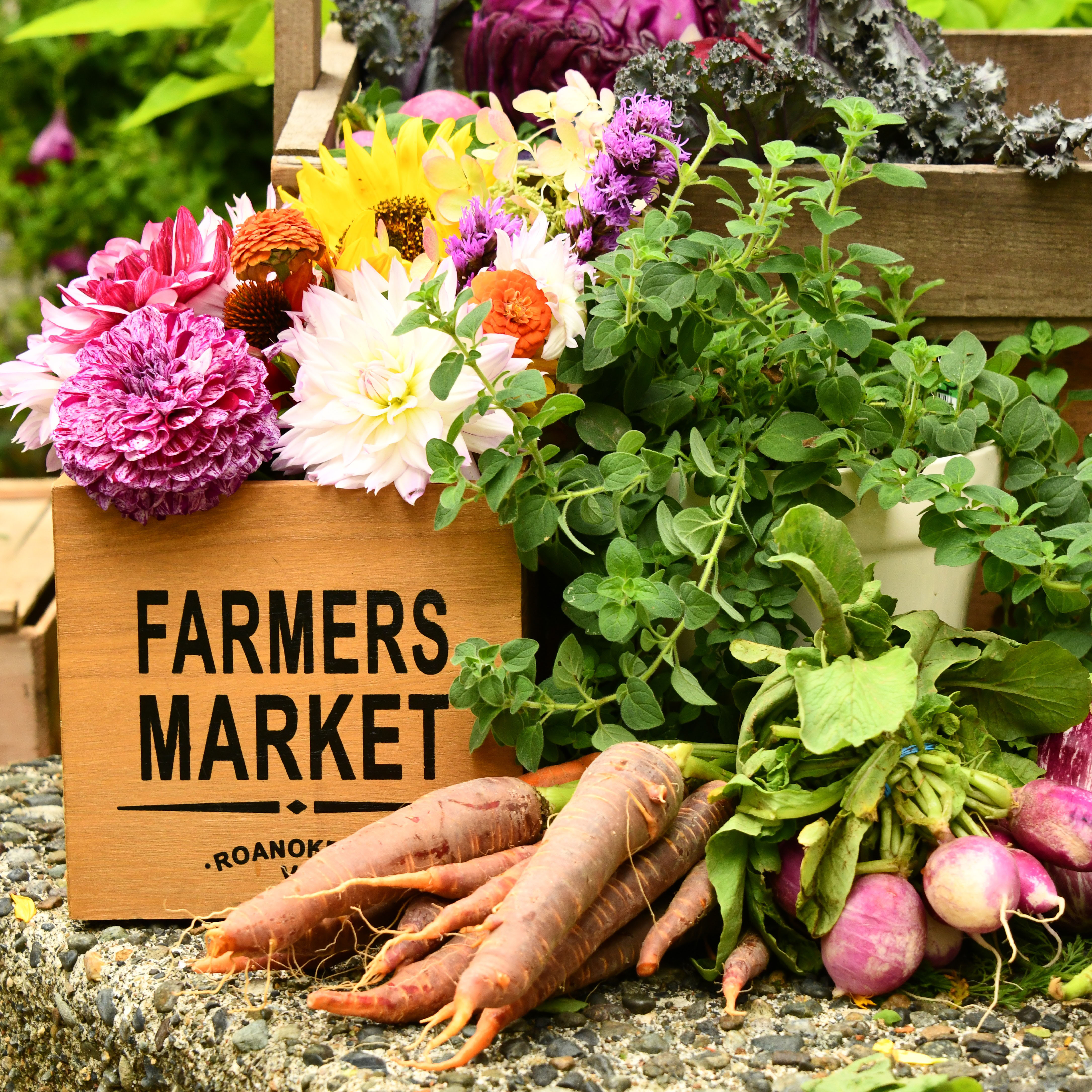 Lansing NC Farmers Market 2022.jpg